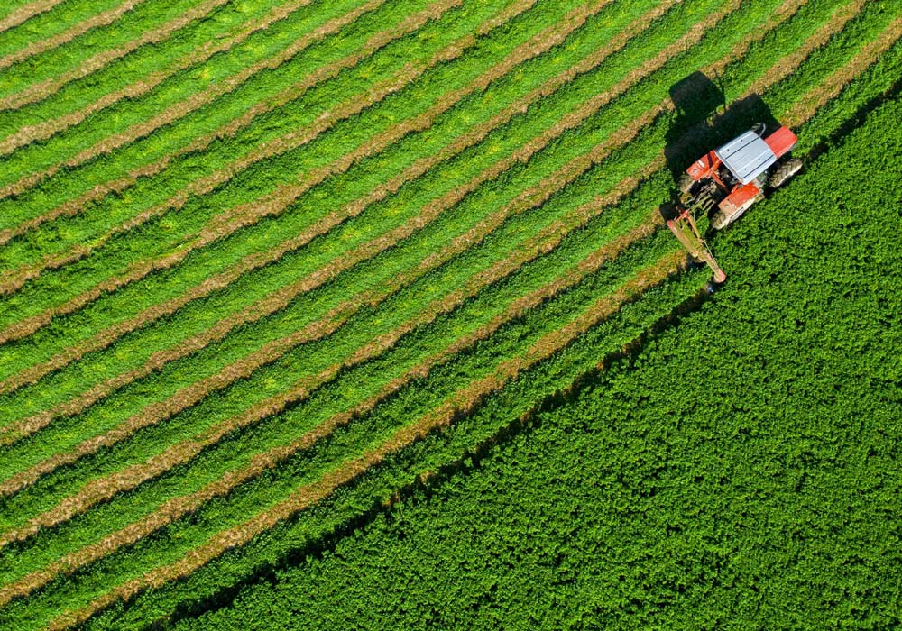 A red tractor drives through a beautiful green field cutting alfalfa.